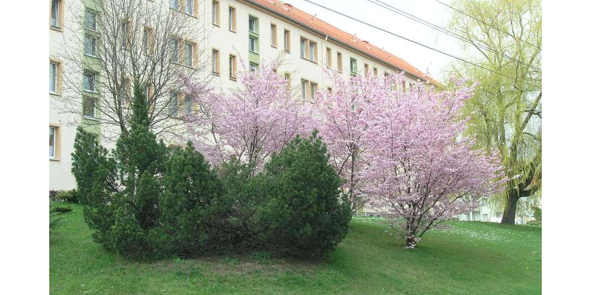 Wohnung zum Mieten in Stollberg 270 € 57.3 m² 3 zimmer