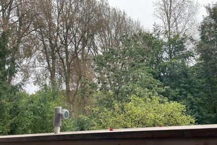 Wohnung Molfsee - 4 Zimmer, 85 m&sup2;, 1.450&euro; | Angebot:26147903