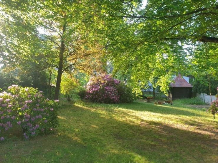 Wohnen auf Zeit Neu-Isenburg Isenburg - 1 Zimmer, 28 m&sup2;, 550&euro; | Angebot:26628602