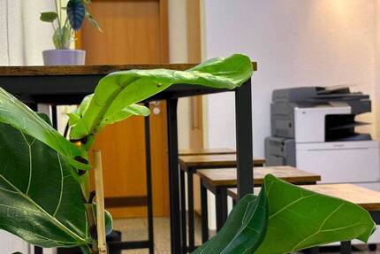 Gewerbeobjekt Nürnberg Maxfeld - 499&euro; | Angebot:26165468