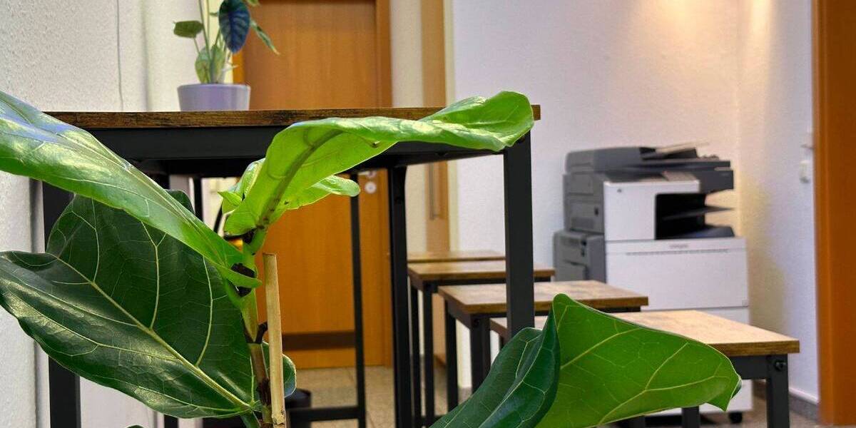 Gewerbeobjekt Nürnberg Maxfeld - 499&euro; | Angebot:26165468