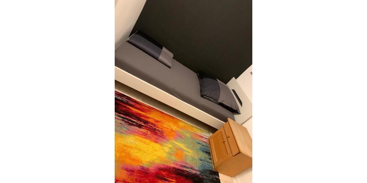 Wohnen auf Zeit Ulm Donautal - 14 Zimmer, 250 m&sup2;, 13&euro; | Angebot:24705821