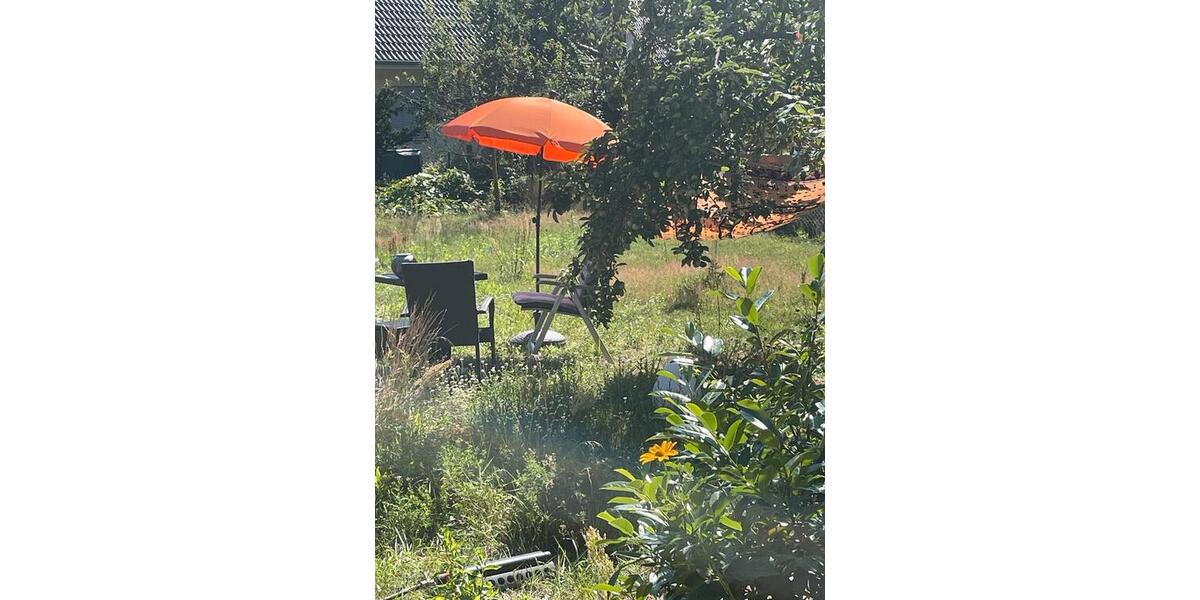 Wohnen auf Zeit Glienicke/Nordbahn Nordbahn - 1 Zimmer, 25 m&sup2;, 35&euro; | Angebot:26494039