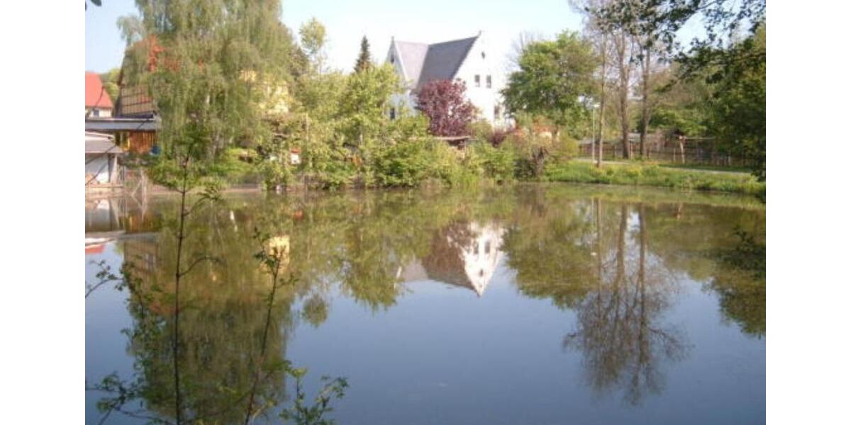 Etagenwohnung Zeulenroda-Triebes Triebes - 2 Zimmer, 51 m&sup2;, 245&euro; | Angebot:25419733