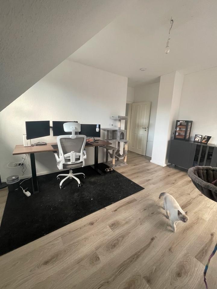 Einfamilienhaus zur Miete zimmer