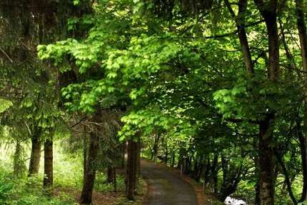 Zimmer Altenau Altenau - 2 Zimmer, 600&euro; | Angebot:24985123