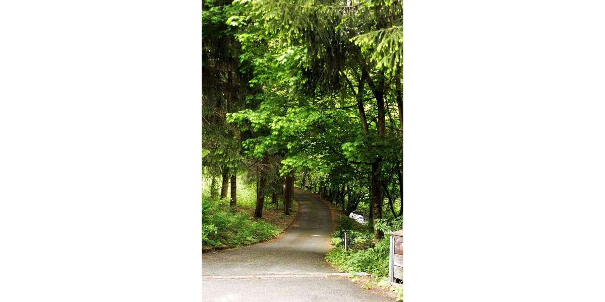 Zimmer Altenau Altenau - 2 Zimmer, 600&euro; | Angebot:24985123