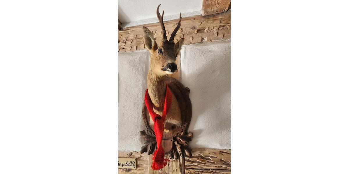 Etagenwohnung Donaueschingen - 3.5 Zimmer, 75 m&sup2;, 825&euro; | Angebot:25221339