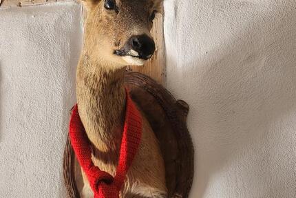 Wohnung Donaueschingen - 3.5 Zimmer, 75 m&sup2;, 825&euro; | Angebot:25221339