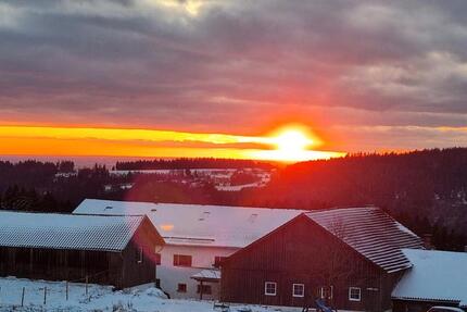 Wohnen auf Zeit Sankt Englmar - 1 Zimmer, 40 m&sup2;, 600&euro; | Angebot:24775115