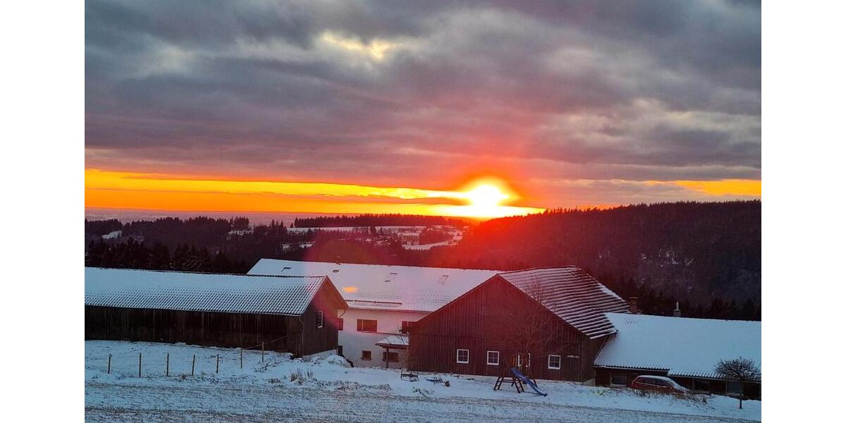 Wohnen auf Zeit Sankt Englmar - 1 Zimmer, 40 m&sup2;, 600&euro; | Angebot:24775115