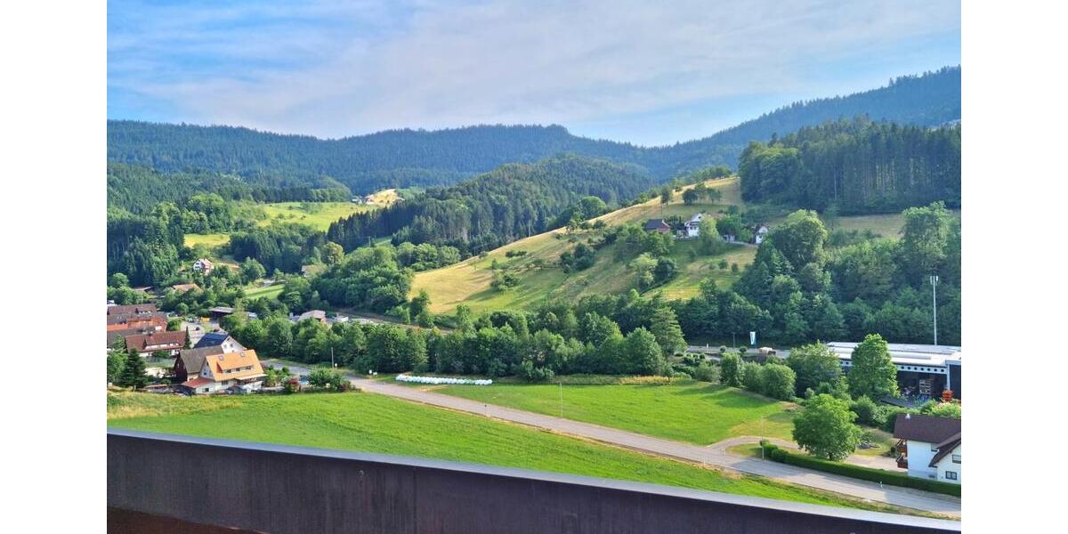 Dachgeschoßwohnung Offenburg - 1.5 Zimmer, 63 m&sup2;, 700&euro; | Angebot:24430779