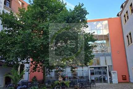 Wohnung zum Mieten in Zwickau 390 € 51 m²