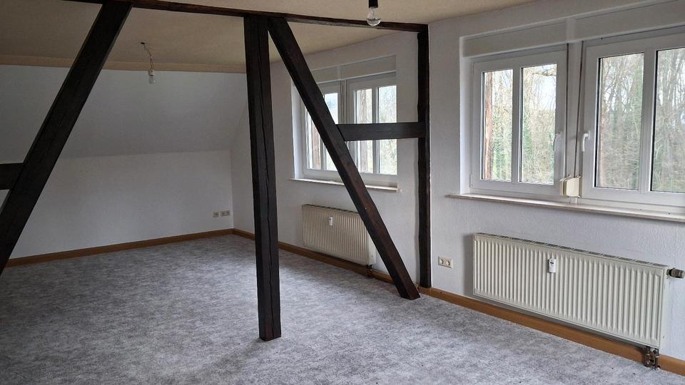 Dachgeschoßwohnung Frohburg - 1 Zimmer, 72 m&sup2;, 700&euro; | Angebot:25941737