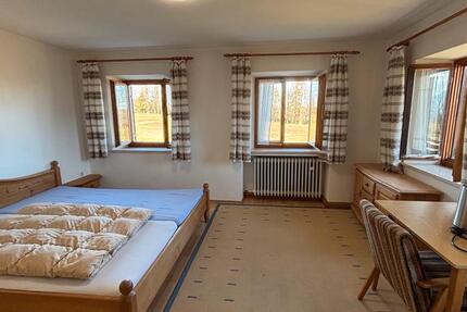 WG-Zimmer Monteurzimmer 1 zimmer