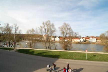 Voll möblierte 2 Zimmer Wohnung direkt an der Donau - ab 01.02.2026 2 zimmer