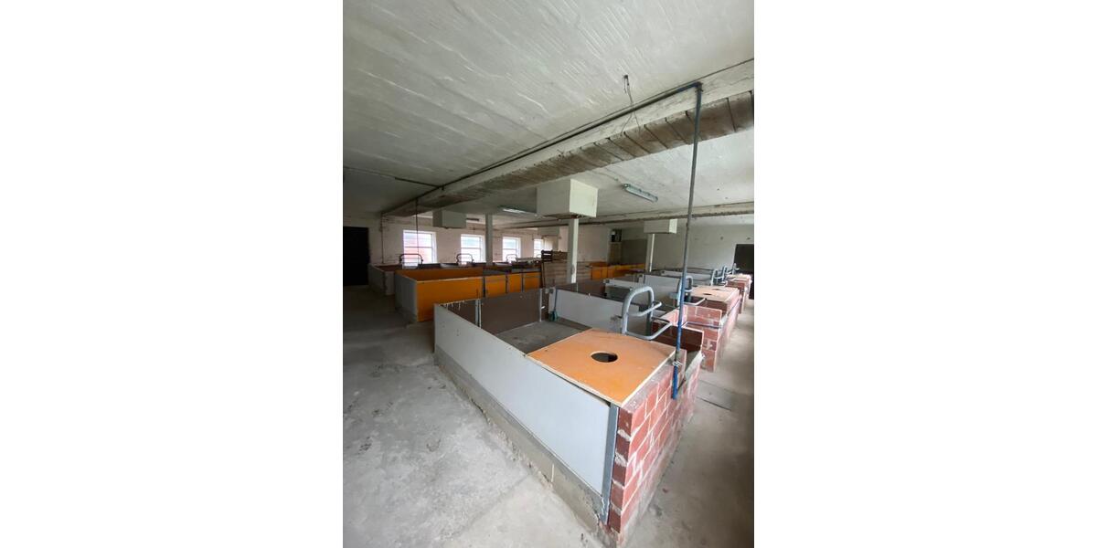 Gewerbeobjekt Sibbesse - 1.500&euro; | Angebot:26614260
