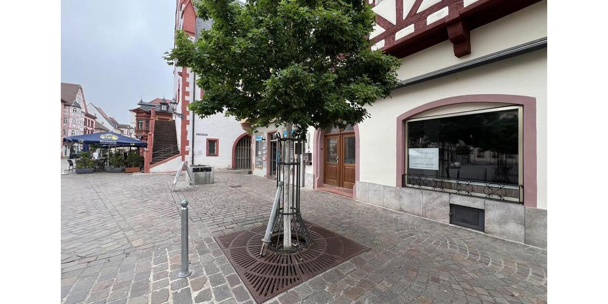 Gewerbeobjekt Karlstadt - 500&euro; | Angebot:24979286