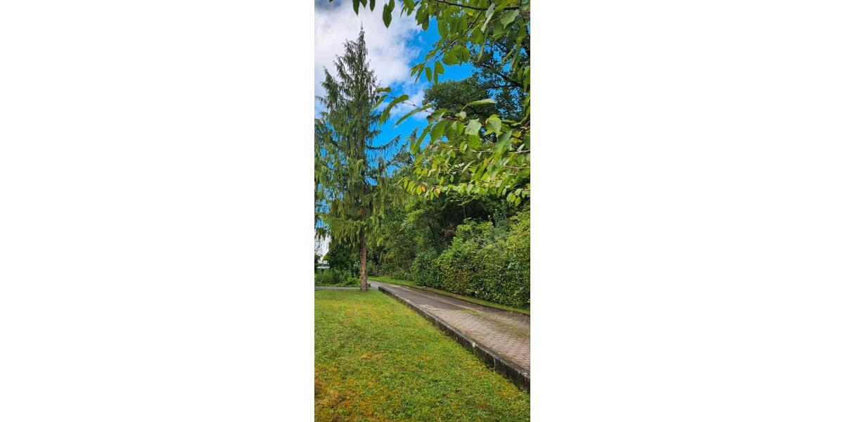 Etagenwohnung Treuchtlingen - 2 Zimmer, 55 m&sup2;, 630&euro; | Angebot:25759644