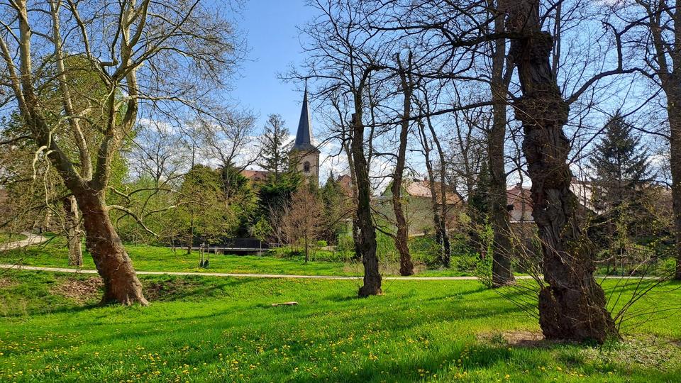 Erdgeschoßwohnung Erfurt Andreasvorstadt - 2 Zimmer, 48 m&sup2;, 730&euro; | Angebot:26670702