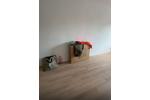 Etagenwohnung Hof Altstadt - 4 Zimmer, 95 m&sup2;, 780&euro; | Angebot:26610735