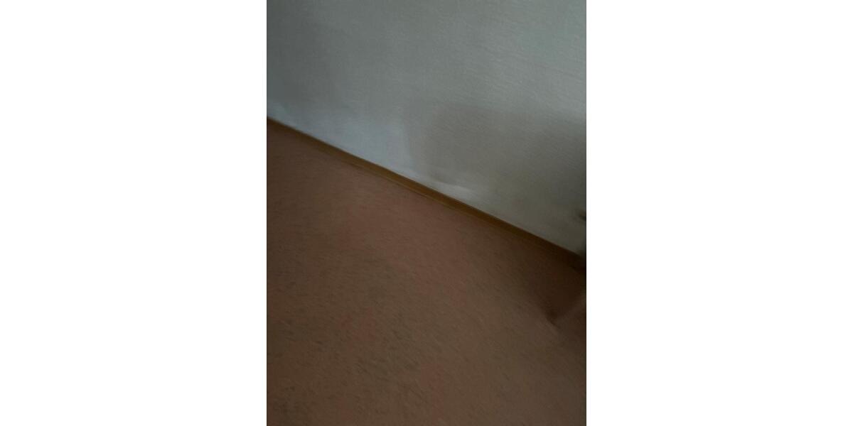 Wohnen auf Zeit Erkner - 3 Zimmer, 60 m&sup2;, 72&euro; | Angebot:24427409