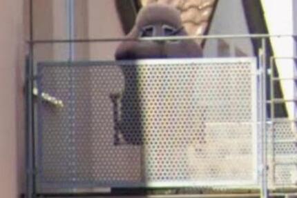 Wognung zu vermieten ab sofort zimmer