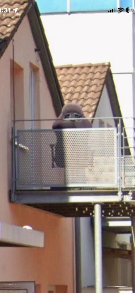 Wognung zu vermieten ab sofort zimmer