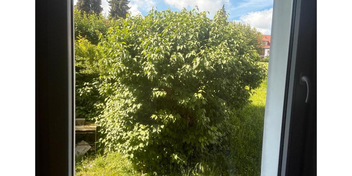 Erdgeschoßwohnung Göttingen Grone - 1.5 Zimmer, 38 m&sup2;, 675&euro; | Angebot:26690138