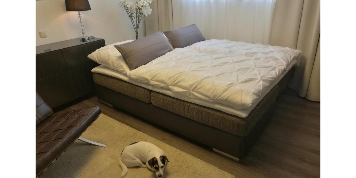 Etagenwohnung Sankt Augustin - 1 Zimmer, 35 m&sup2;, 750&euro; | Angebot:24714436