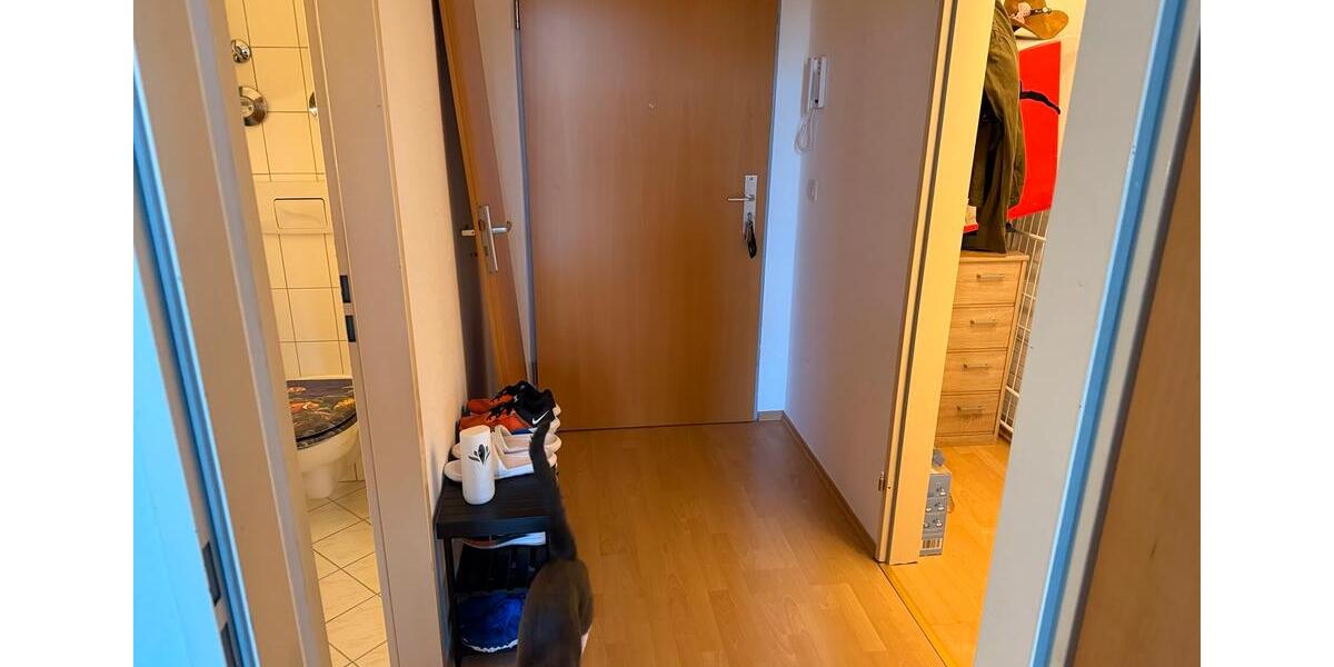 Etagenwohnung Parchim - 1 Zimmer, 40 m&sup2;, 330&euro; | Angebot:26613757