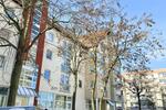 Etagenwohnung Waren (Müritz) - 2 Zimmer, 60 m&sup2;, 690&euro; | Angebot:25049010