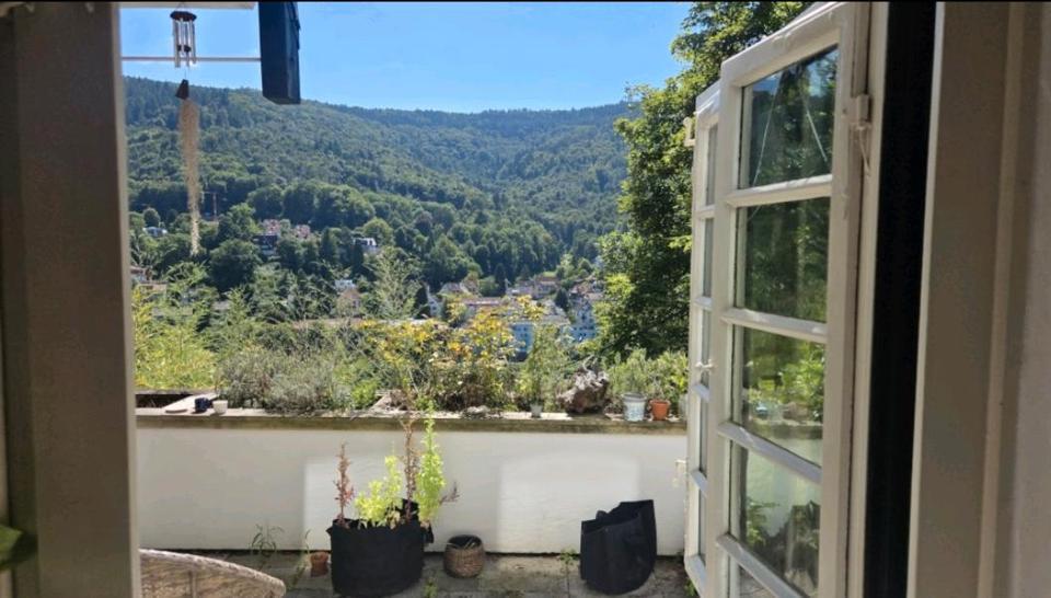 Wohnen auf Zeit Heidelberg Peterstal - 3 Zimmer, 120 m&sup2;, 825&euro; | Angebot:24849433