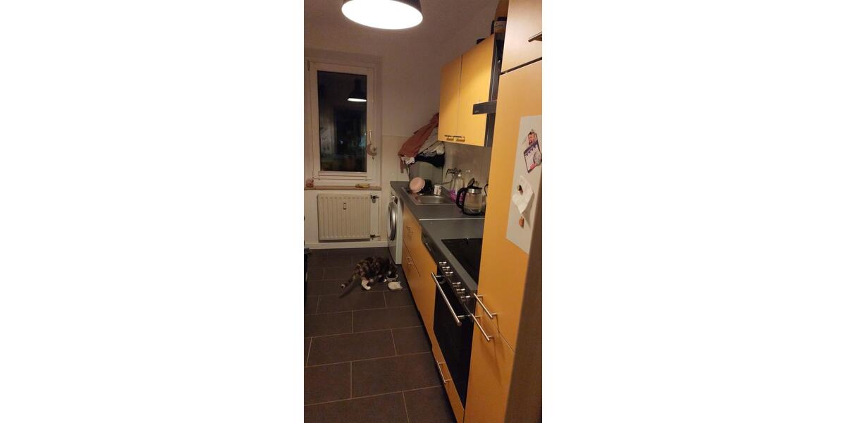 Etagenwohnung Neuenkirchen - 2 Zimmer, 50 m&sup2;, 600&euro; | Angebot:24471520