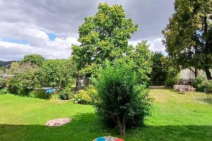 helle 2- Raumwohnung auf Gartenebene 2 zimmer