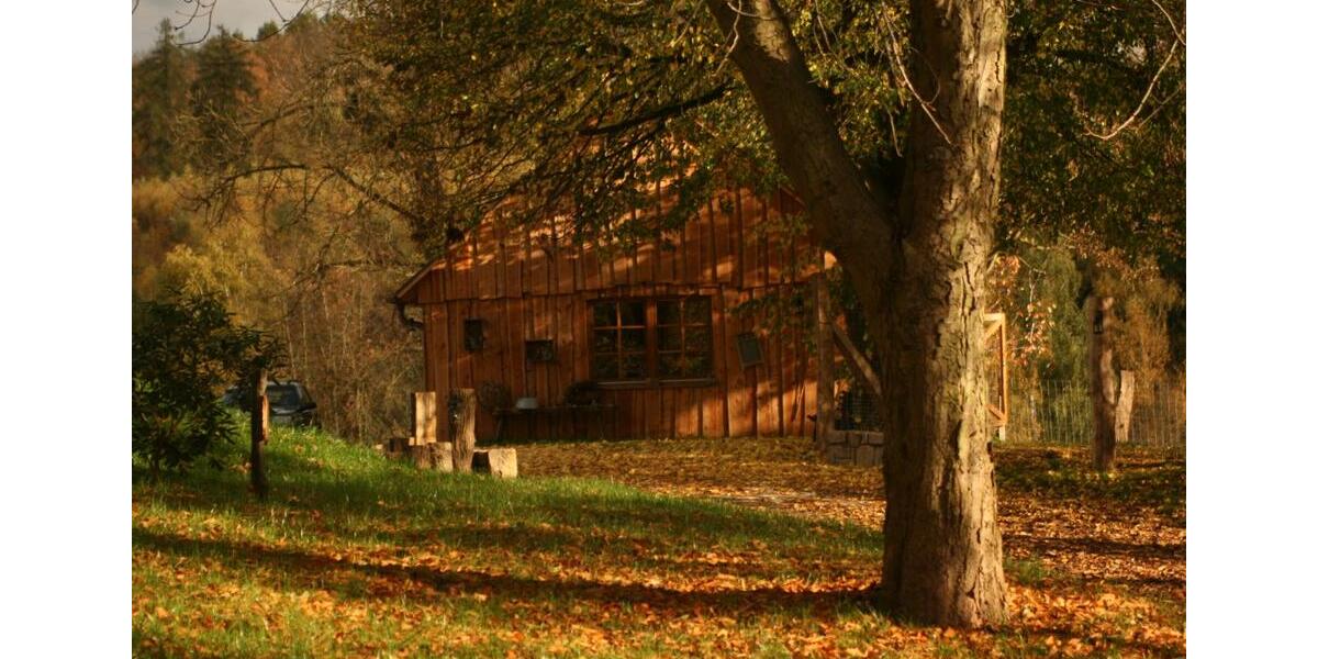 Etagenwohnung Bad Lauterberg im Harz - 3 Zimmer, 180 m&sup2;, 950&euro; | Angebot:25401794