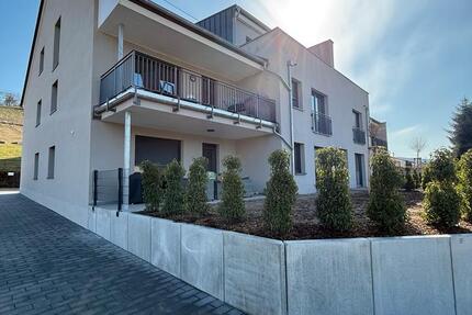 Wohnung Ayl - 1 Zimmer, 165 m&sup2;, 1.450&euro; | Angebot:24769035