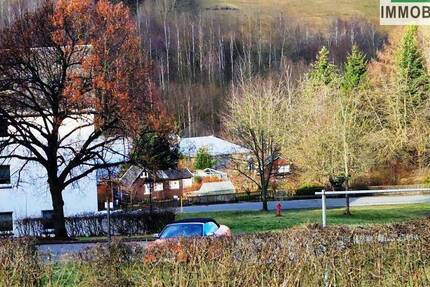 Wohnung Schwarzenberg/Erzgeb. Erla - 2 Zimmer, 48 m&sup2;, 263&euro; | Angebot:24874554