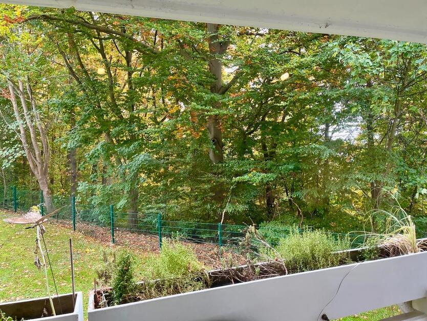 90 qm 3-Zimmer-Wohnung Bochum Ober-Dahlhausen Mietwohnung Balkon zimmer