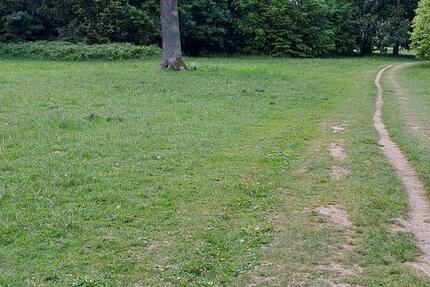 München: 3-Zimmer-Wohnung am Hirschgarten zur Zwischenmiete
