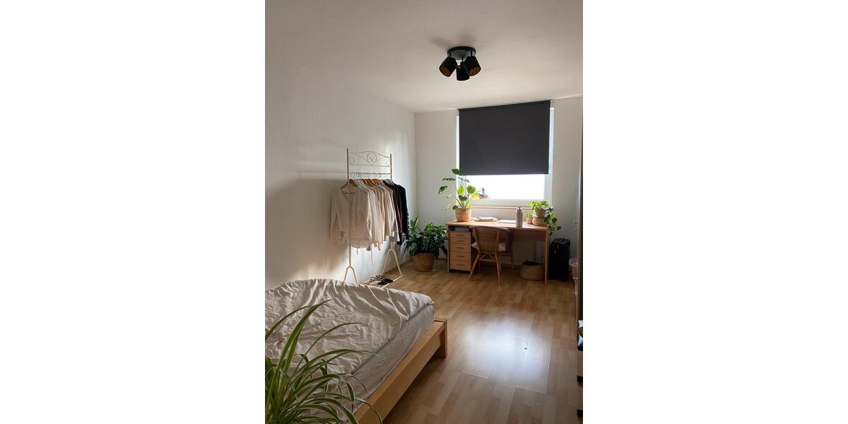 Wohnen auf Zeit Geisenheim - 1 Zimmer, 53 m&sup2;, 375&euro; | Angebot:26340283