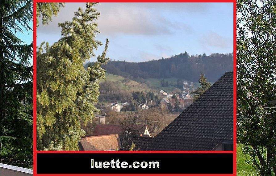 Wohnung zum Mieten in Wutöschingen 870 € 88 m² 3 zimmer