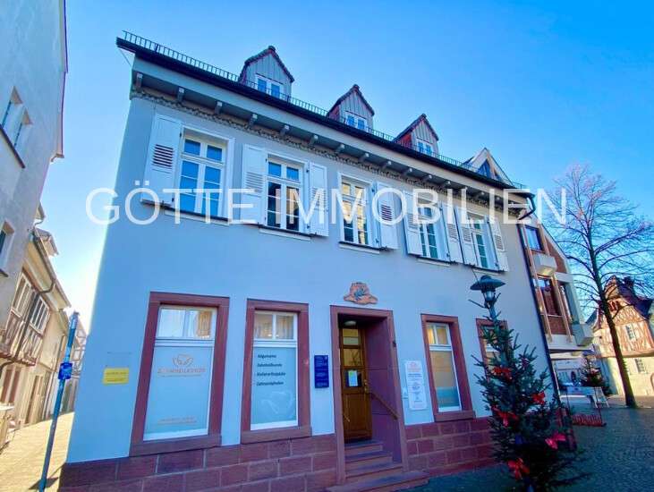 Wohnung zum Mieten in Dieburg 1.345 € 170 m² 4.5 zimmer