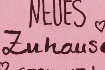 Wohnung Darmstadt Bessungen - 2 Zimmer, 45 m&sup2;, 900&euro; | Angebot:25648791