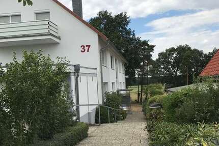 Wohnung Steimbke - 2 Zimmer, 63 m&sup2;, 473&euro; | Angebot:25773749