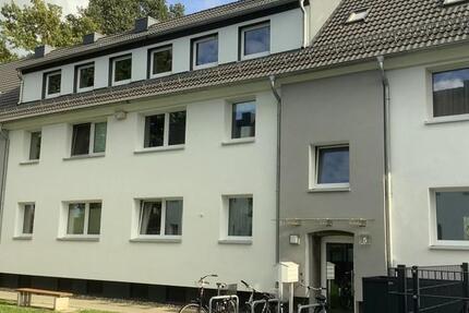 Frisch renovierte und sanierte Wohnung, jetzt mieten! zimmer