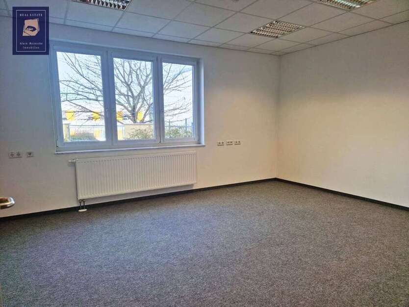 Firmenkomplex mit Garage und Einliegerwohnung 22 zimmer