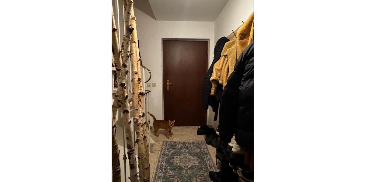 Wohnen auf Zeit München Moosach - 6 Zimmer, 17 m&sup2;, 730&euro; | Angebot:25844055