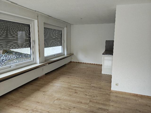 Erdgeschoßwohnung Albstadt - 3.5 Zimmer, 110 m&sup2;, 850&euro; | Angebot:26119996