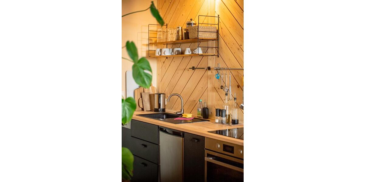 Winterspezial***Großes Studio für eine Auszeit am Schaalsee 1 zimmer